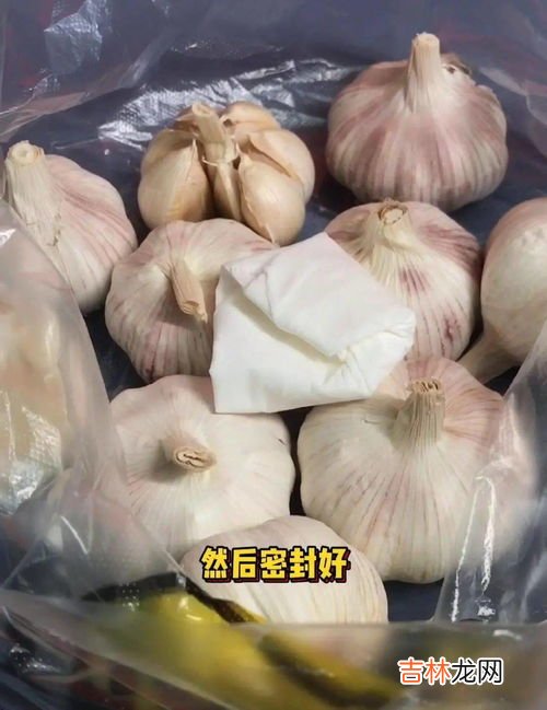 发芽的大蒜能吃吗,蒜头发芽了还能吃吗？