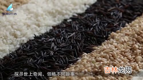 大米出了小黑虫还能吃吗,米里面有黑虫还能吃吗