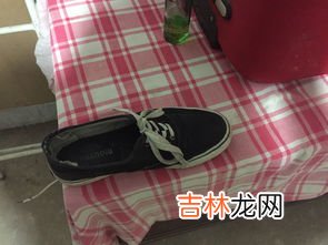 奢侈品布鞋品牌排行榜,帆布鞋品牌排行榜前十名