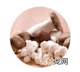 蛤蟆油怎么吃,蛤蟆油怎么做好吃