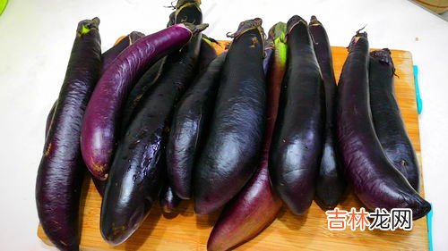 冻茄子能吃吗有毒吗,冻茄子能吃吗有毒吗