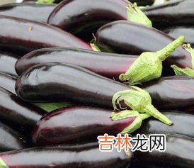 冻茄子能吃吗有毒吗,冻茄子能吃吗有毒吗