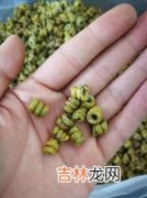 耳环石斛怎么泡水喝,铁皮石斛泡水喝的正确方法 怎么用铁皮石斛泡水喝