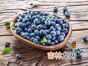蓝莓枸杞营养粉的作用有哪些,蓝莓枸杞在一起有什么作用?
