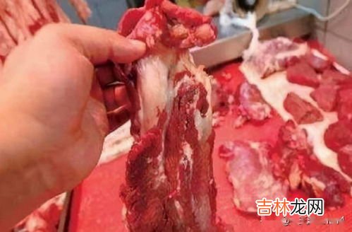 怎么分辨母猪肉,怎样识别母猪肉