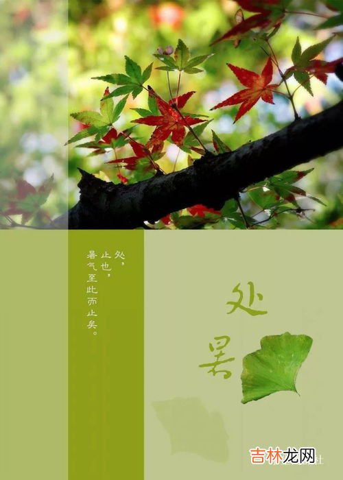 2022处暑过后有露水吗,2022处暑节气过后是什么节气 、