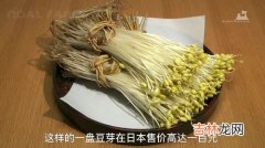 豆芽怎么种植方法,种豆芽的步骤方法