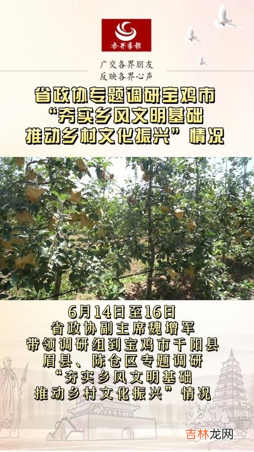 夯实乡村文化基础的四个要素,乡村文化建设包括哪些方面?