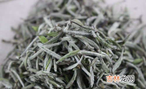 十年以上的白毫银针还能喝吗,白茶的保质期限一般多久