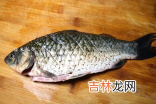 鲫鱼煎和不煎营养哪个好,做鱼汤鱼一定要煎吗 做鱼汤鱼要煎好还是不煎好