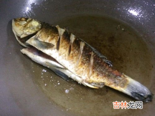 鲫鱼煎和不煎营养哪个好,做鱼汤鱼一定要煎吗 做鱼汤鱼要煎好还是不煎好