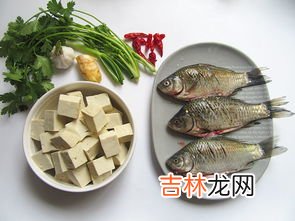 鲫鱼煎和不煎营养哪个好,做鱼汤鱼一定要煎吗 做鱼汤鱼要煎好还是不煎好