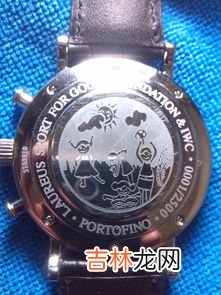 怎么判断万国手表真假,万国手表怎么鉴定真假