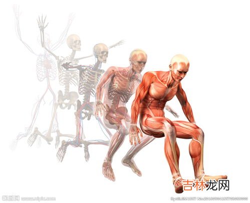 人体运动时,能量供应来源于哪三大系统,人体运动时的三大供能系统是什么?