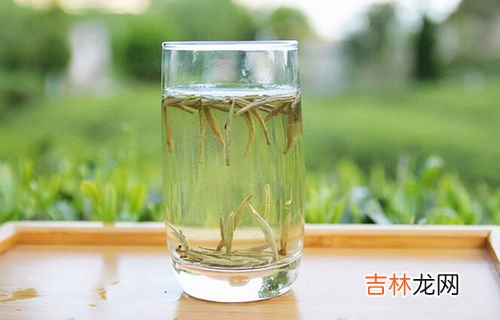 白毫银针可以用保温杯泡吗,银茶的冲泡方法