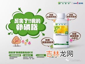 安利卵磷脂的功效与作用,关于卵磷脂的认知