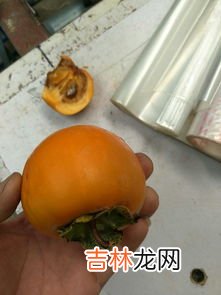 柿子里面黑了还能吃吗,脆柿子里面黑了还能吃吗