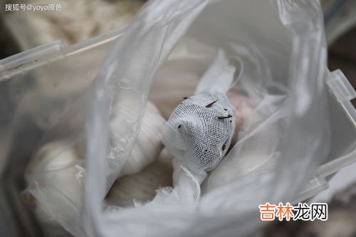 防止大蒜发芽的方法,防止大蒜发芽的方法