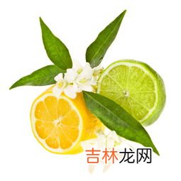 青柠檬和黄柠檬的区别是什么,黄柠檬和青柠檬有什么不一样?