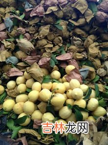 青柠檬和黄柠檬的区别是什么,黄柠檬和青柠檬有什么不一样？