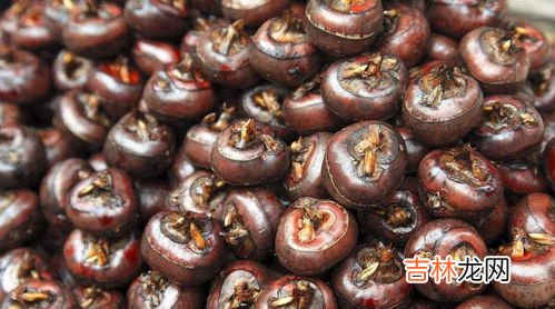 削皮的马蹄可以冷冻保存吗,去皮马蹄怎么保存