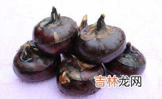 削皮的马蹄可以冷冻保存吗,去皮马蹄怎么保存