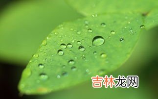 春雨是什么颜色的,春雨是什么颜色的？