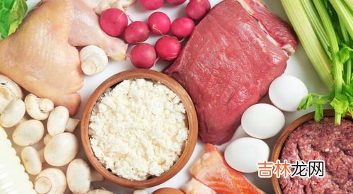 蛋白质的食物有哪些,高蛋白食物有哪些？
