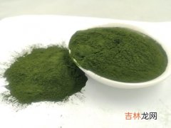 螺旋藻的作用,螺旋藻的作用与功效是啥？