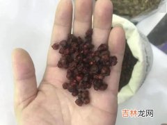 美乐家灵芝五味子胶囊的作用与功效,美乐家灵芝五味子胶囊