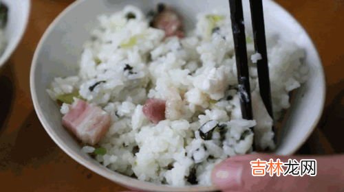干饭人的梗怎么来的,干饭人是什么意思什么梗