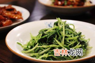 鸡毛菜是小白菜还是小油菜,鸡毛菜是什么