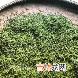黄山毛尖是什么,黄山毛尖属于什么茶