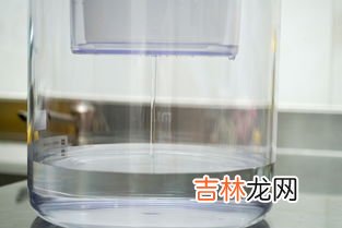 过滤水壶是过滤开水还是自来水,滤水壶可以直接过滤开水吗？