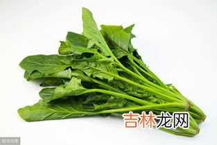 菠菜和鸡肉能一起吃吗,鸡肉能和菠菜一起吃吗?