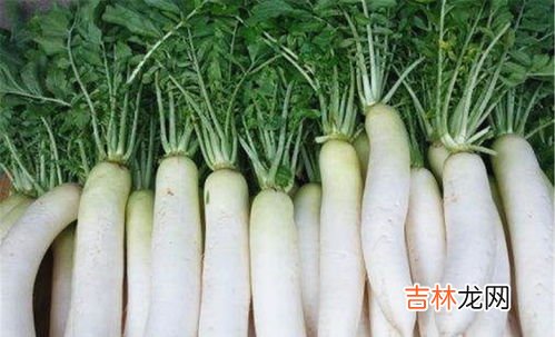 白萝卜能和山药一起吃吗,山药和白萝卜可以一起炖汤吗？冬天吃山药的五大好处