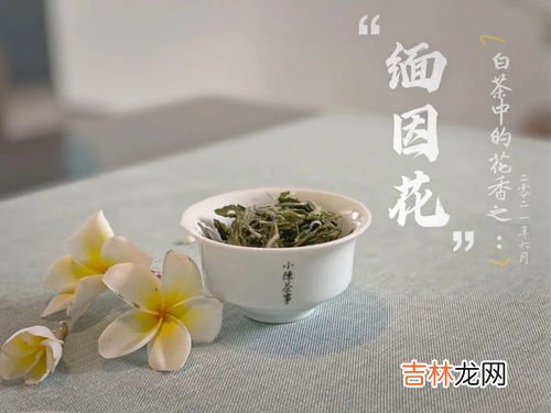 白毫银针需要冷藏吗,白茶茶饼应该怎么保存?