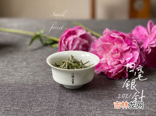 白毫银针需要冷藏吗,白茶茶饼应该怎么保存?