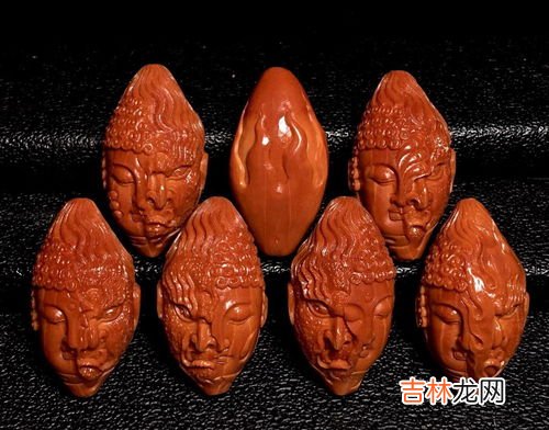 橄榄的寓意和象征,橄榄树象征着什么意义