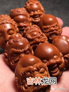 橄榄的寓意和象征,橄榄树象征着什么意义