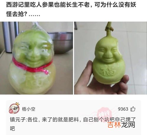 人参果里面黑了还能吃吗,人参果的籽能吃吗 人参果的籽是黑色的吗