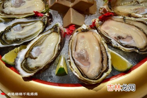 生蚝冷冻三个月还能吃吗,生蚝冷冻了2个月还能吃吗