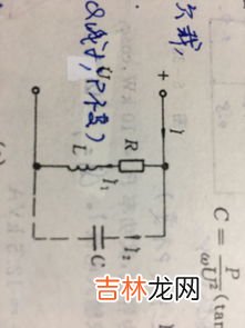 因数是什么,因数是什么