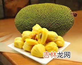 菠萝蜜没熟吃了会中毒吗,菠萝蜜核煮不熟有毒吗 菠萝蜜核的食用价值
