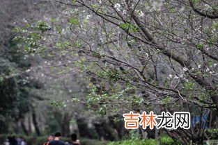 武汉10月份可以穿秋裤吗,在武汉,你在立冬后什么时候开始穿秋裤?