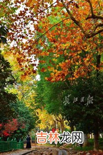 武汉10月份可以穿秋裤吗,在武汉,你在立冬后什么时候开始穿秋裤?