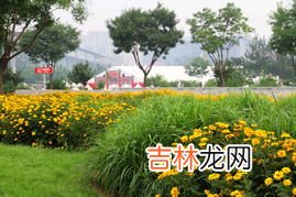 奥林匹克公园占地面积约6.8什么单位,北京奥林匹克森林公园面积