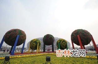 奥林匹克公园占地面积约6.8什么单位,北京奥林匹克森林公园面积