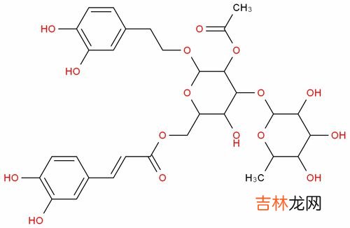 贡栖红苷片哪个品牌好,多白贡栖和转移因子哪个好