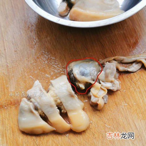河蚌怎么清洗,河蚌肉怎么清洗才能干净 河蚌肉如何清洗才能干净